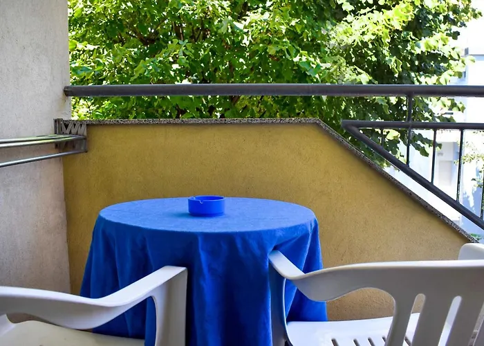 Dear Hotel Rimini